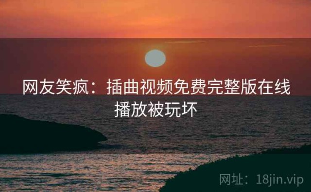 网友笑疯：插曲视频免费完整版在线播放被玩坏