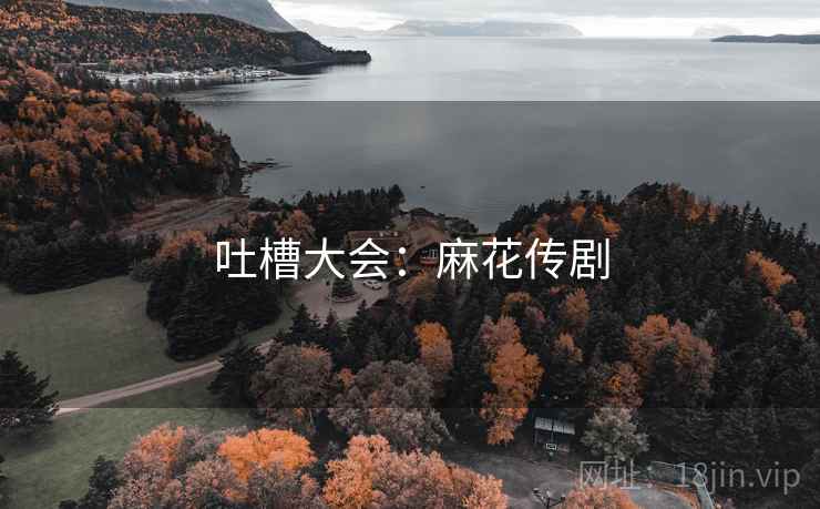 吐槽大会：麻花传剧