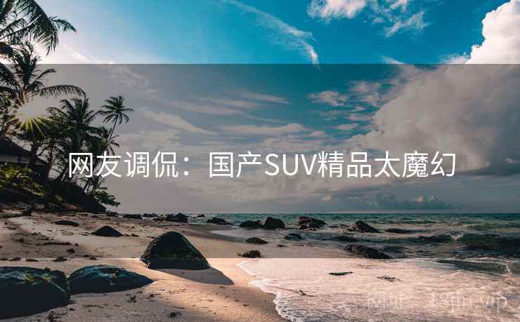 网友调侃：国产SUV精品太魔幻