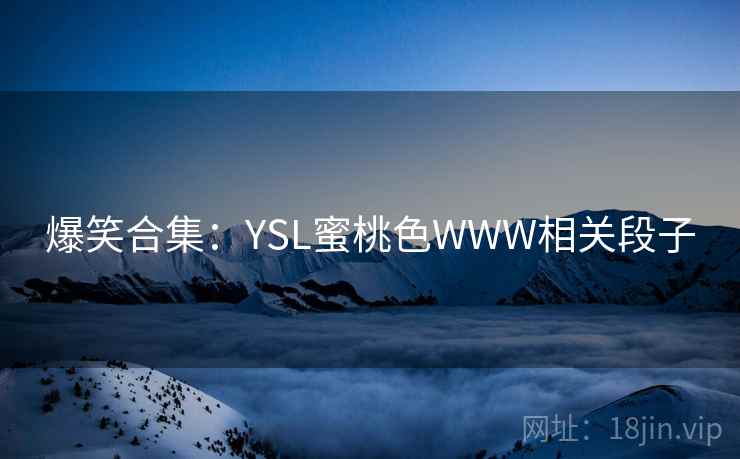 爆笑合集：YSL蜜桃色WWW相关段子