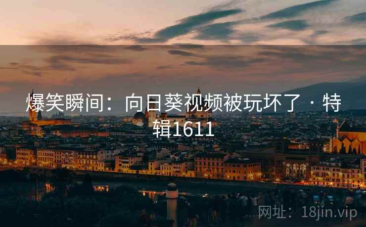 爆笑瞬间:向日葵视频被玩坏了 · 特辑1611 爆笑瞬间:向日葵视频被玩坏了 · 特辑1611
